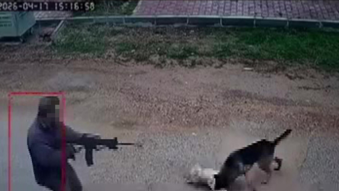 Antalya Kepez’de Dehşet: Köpeği Tüfekle Vurarak Öldürdü